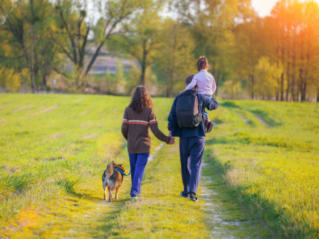 Ontwerp zonder titel (13)